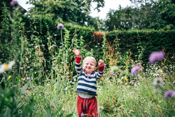 Little boy holds hands in the air amongst wild flowers at Hylands Park Essex family lifestyle childhood baby photographer