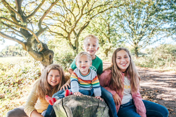 four sibling children sit on tree stump on sunny day Essex family lifestyle childhood baby photographer