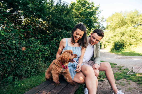 Laughing couple sit on bench with cockerpoo dog in park, Essex family lifestyle photographer