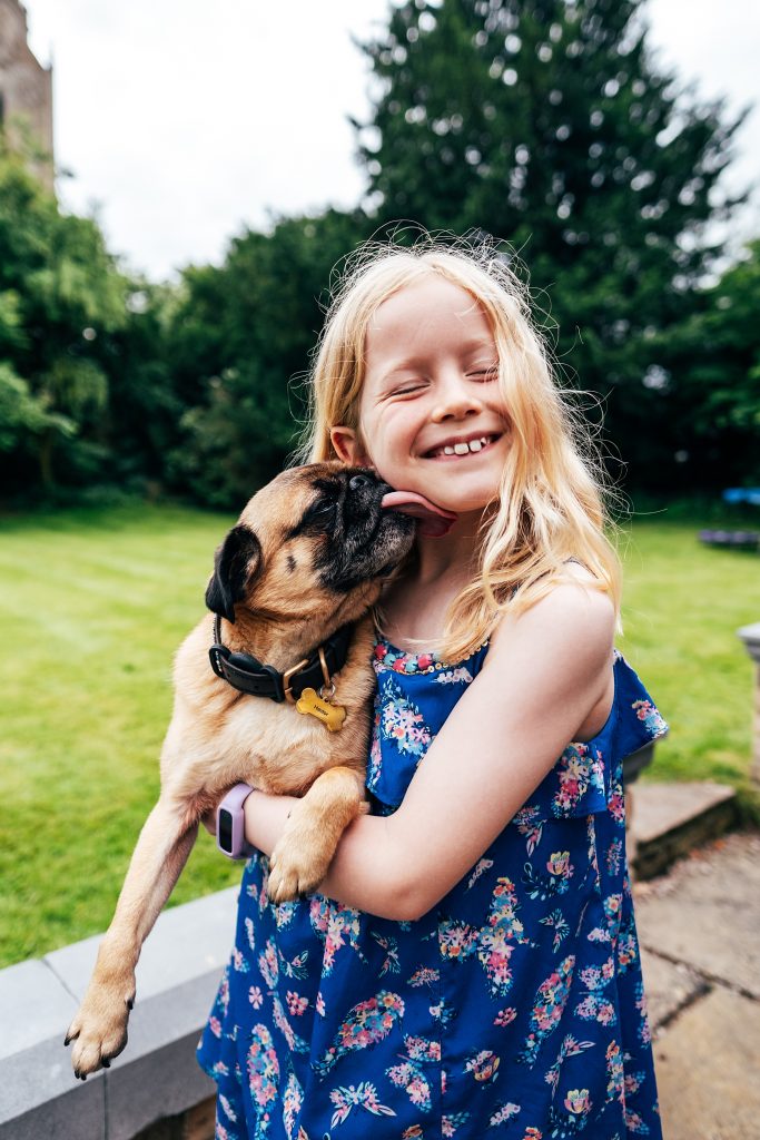 little girl laughs as pug dog licks her face