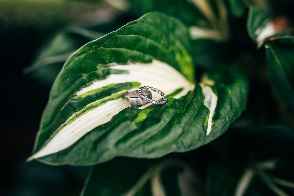 Luxe Earthy tones for Classic wedding at Hatfield Place Essex Wedding Photographer