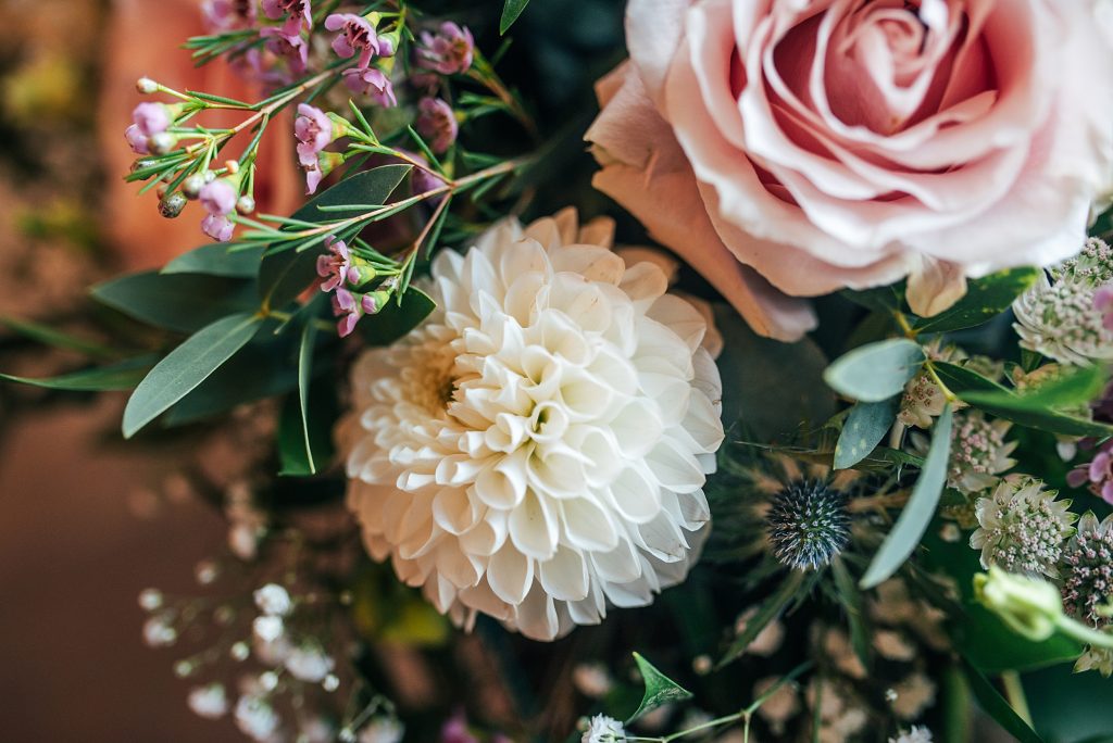 close up of pink white florals