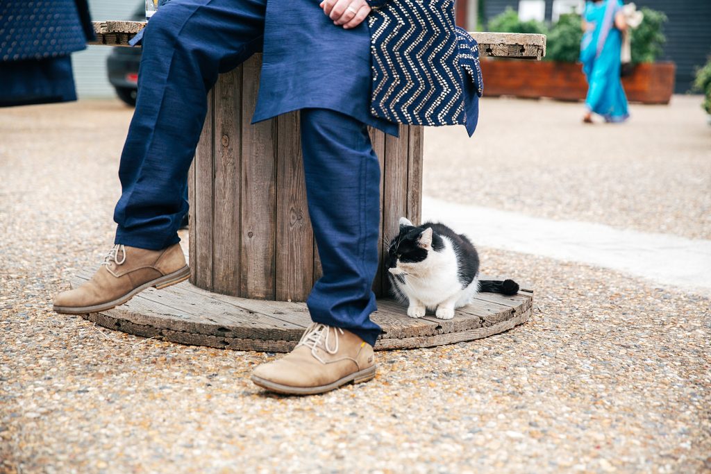 close up of wedding guests legs as he sits next to a farm cat