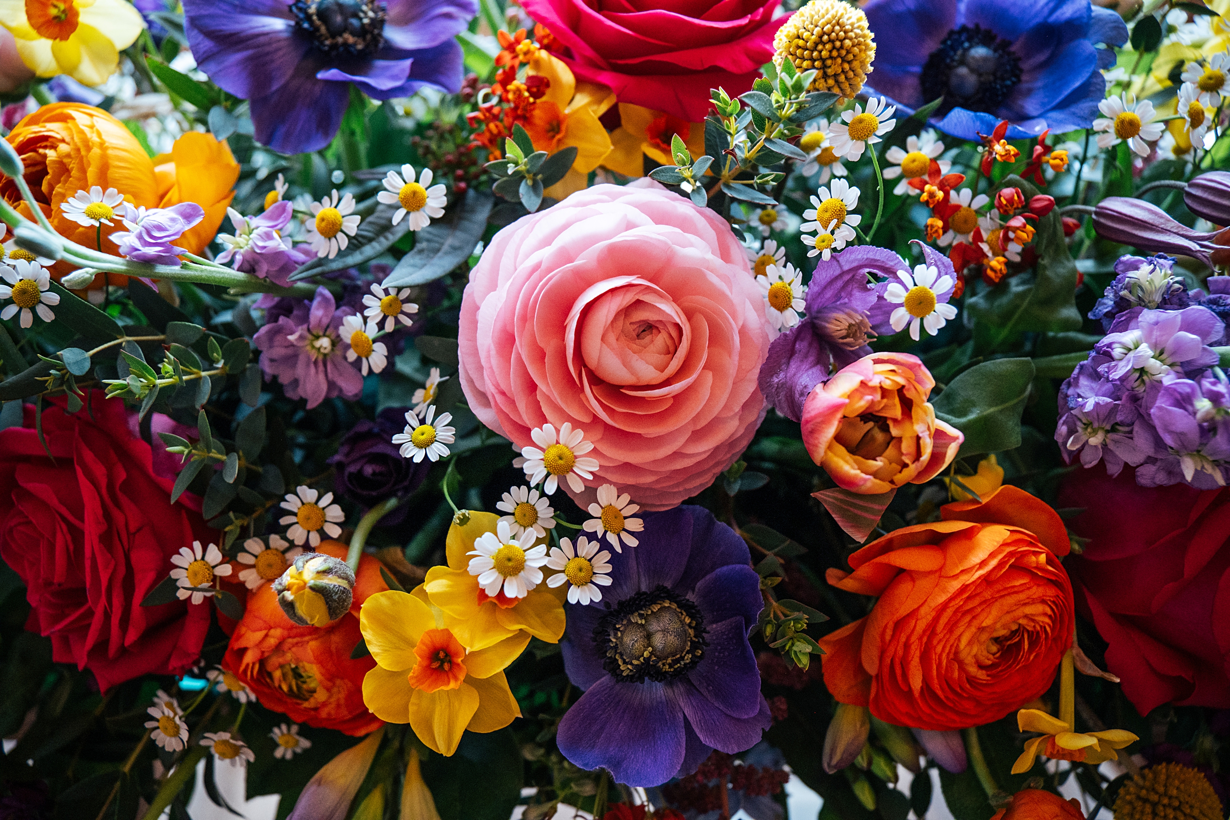Spring wedding at Blake Hall with bright colour palette bride and groom bring dog Essex documentary wedding photographer