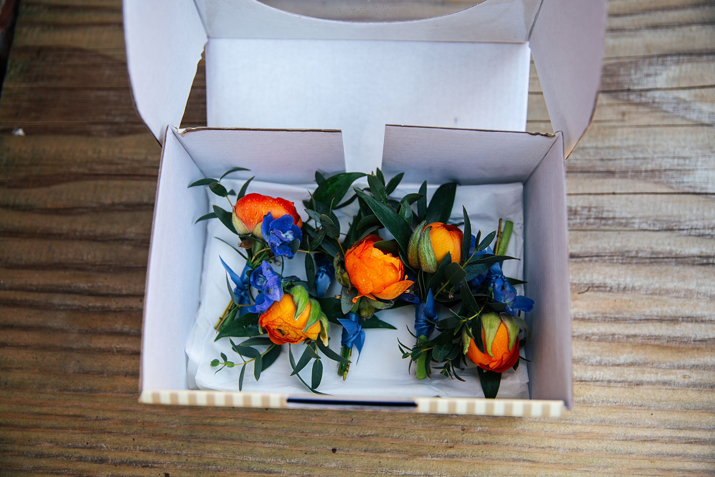 colourful Spring wedding at Blake Hall bride and groom bring dog Essex