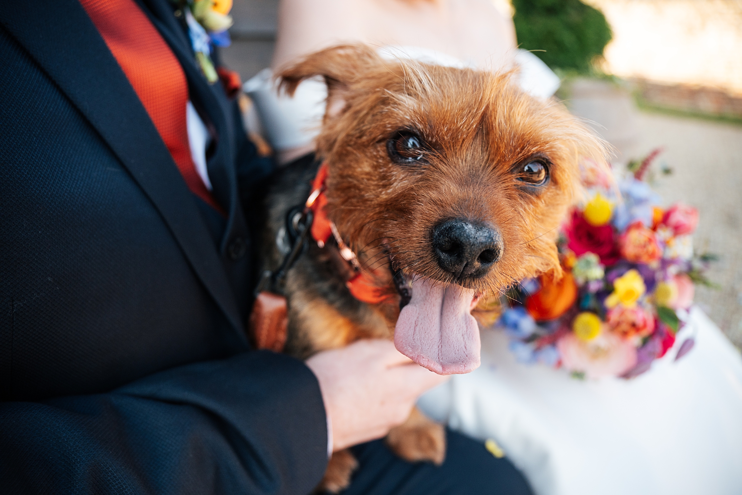 colourful Spring wedding at Blake Hall bride and groom bring dog Essex