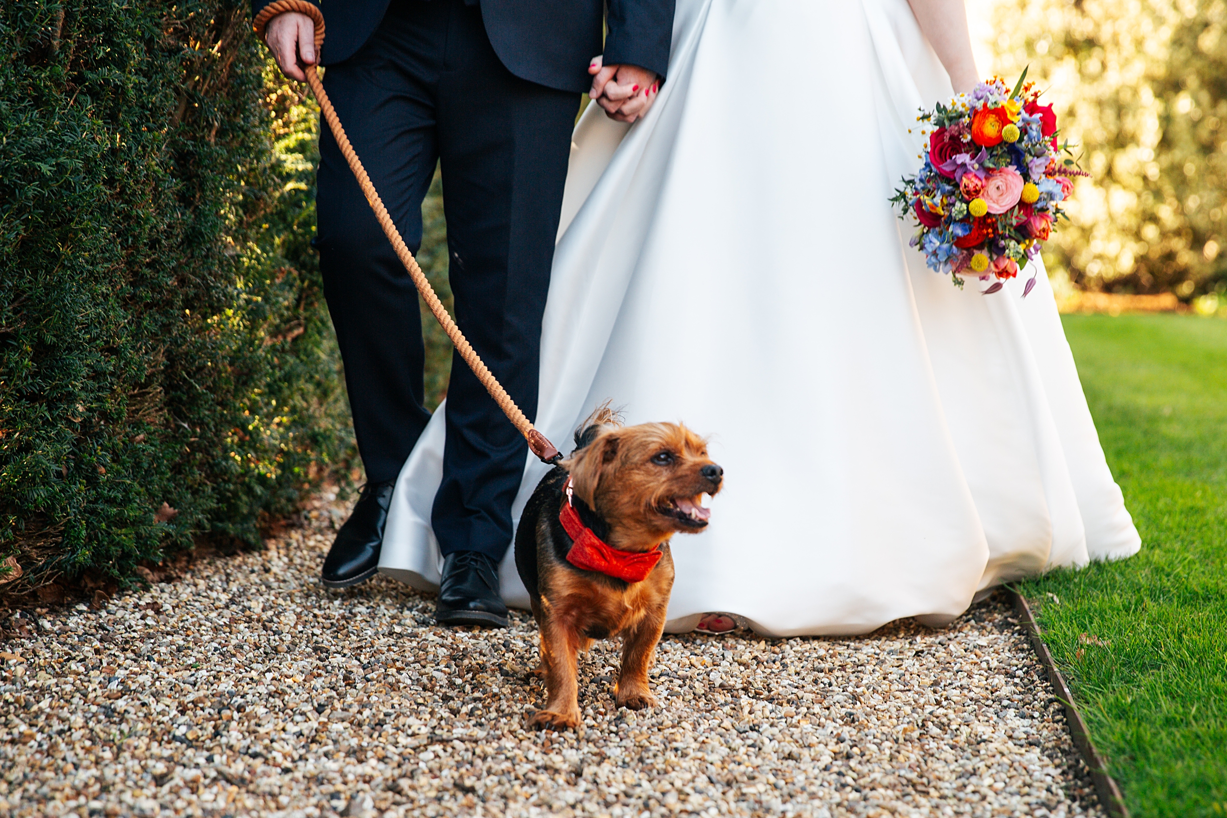 colourful Spring wedding at Blake Hall bride and groom bring dog Essex