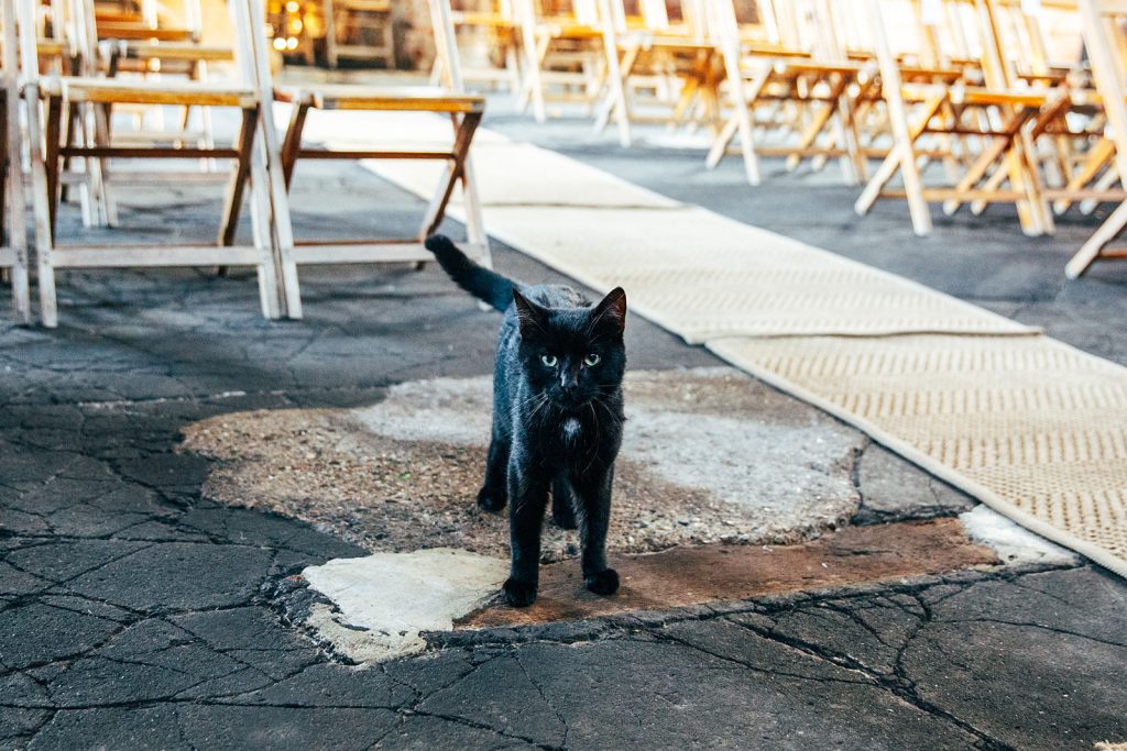 The barns at lodge farm Epping Essex wedding photographer